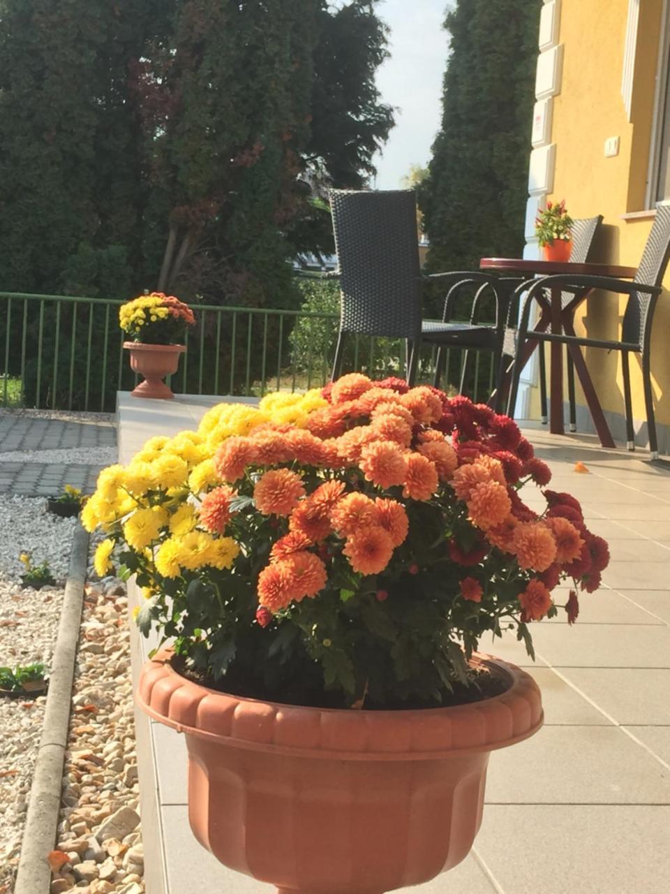 Villa Bella Apartman Бюк Экстерьер фото